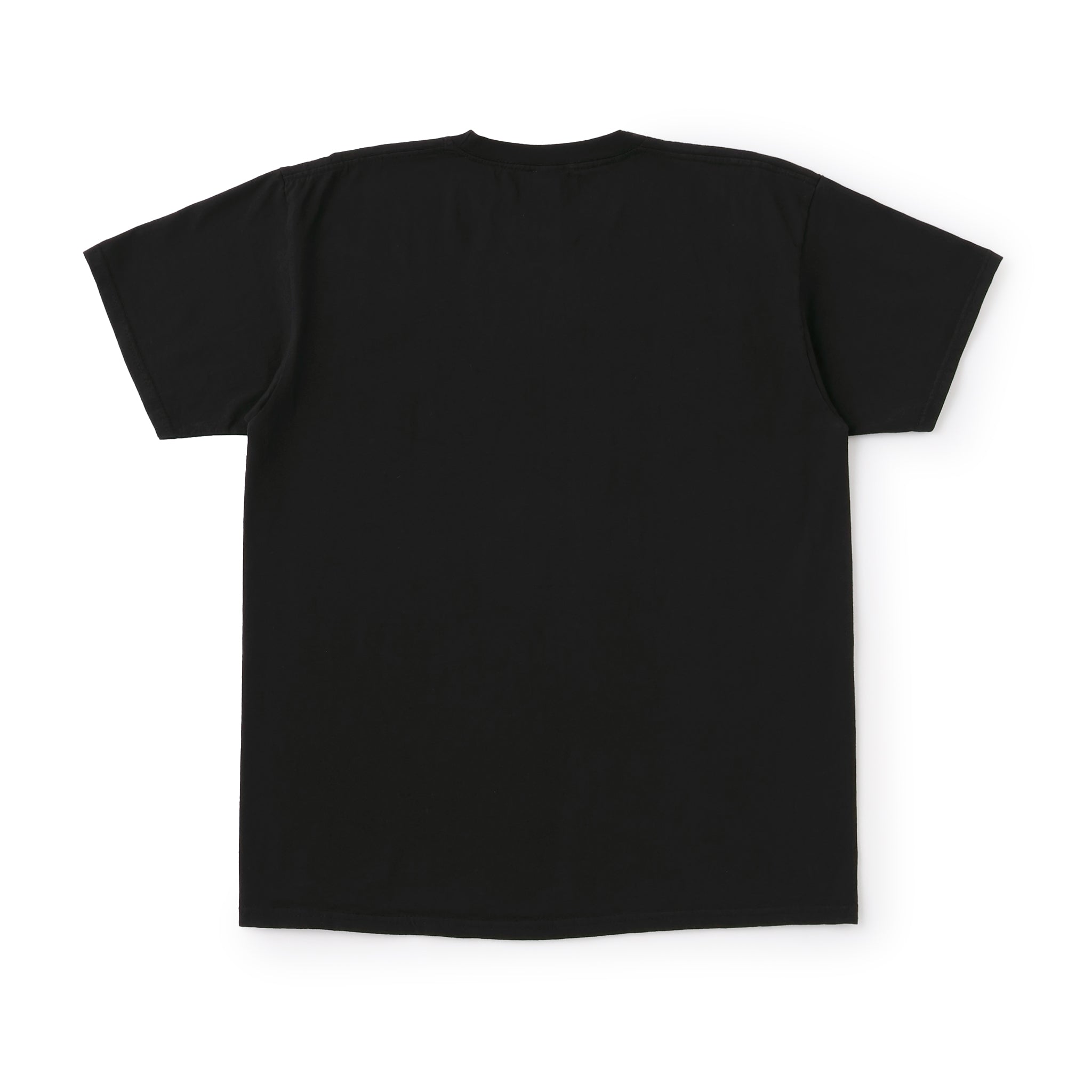 NOT APPLE TEE Lemon - Fruit of the Loom Edition (ノットアップルティー フルーツオブザルームエディション)|byeA.(バイエー)OFFICIAL ONLINE STORE