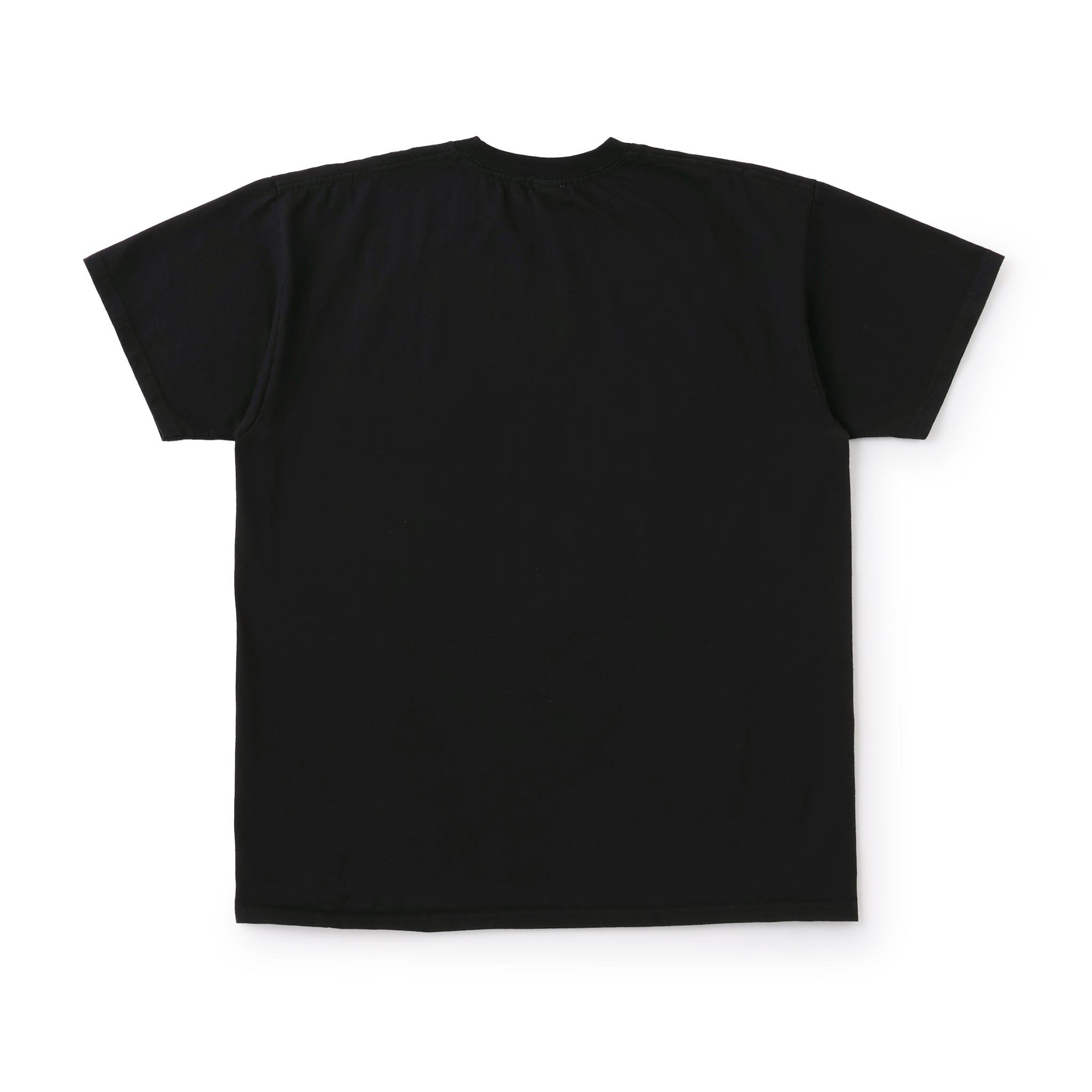 NOT APPLE TEE Melon BLACK - Fruit of the Loom Edition