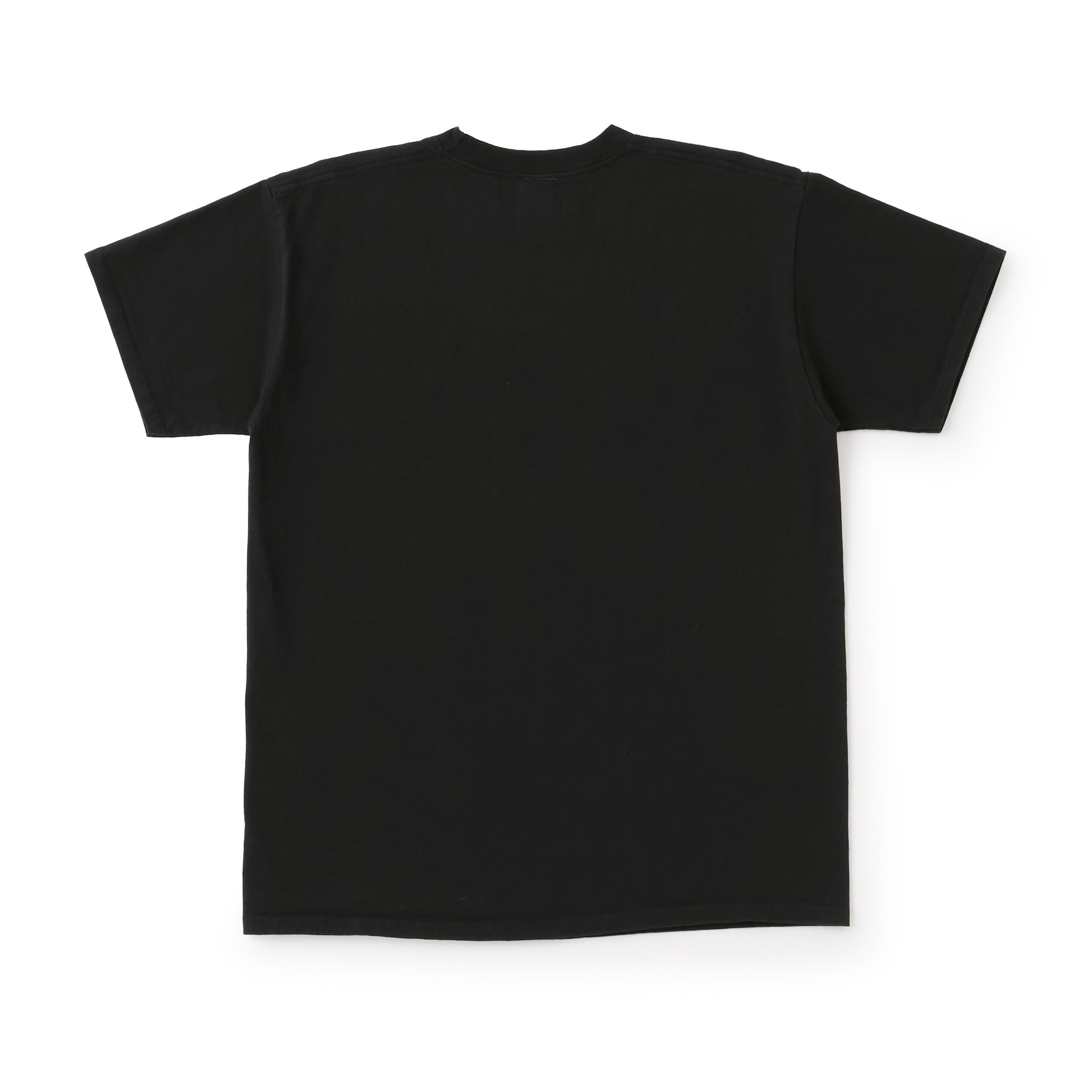 NOT APPLE TEE Grape BLACK - Fruit of the Loom Edition