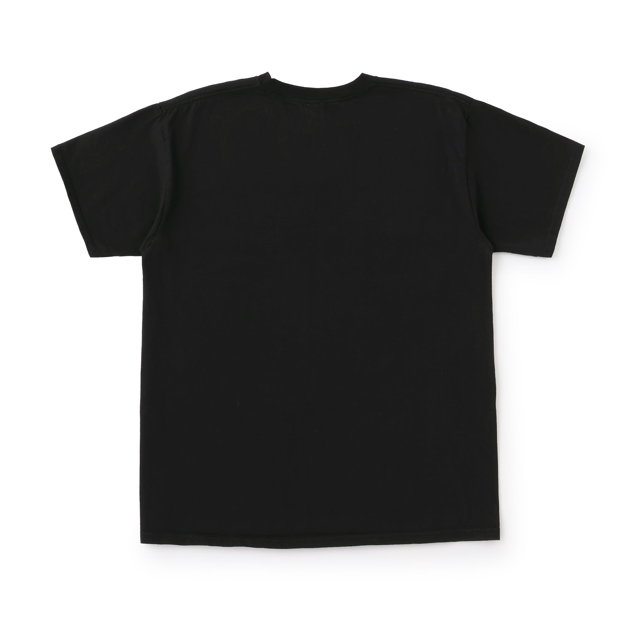 NOT APPLE TEE Orange BLACK - Fruit of the Loom Edition