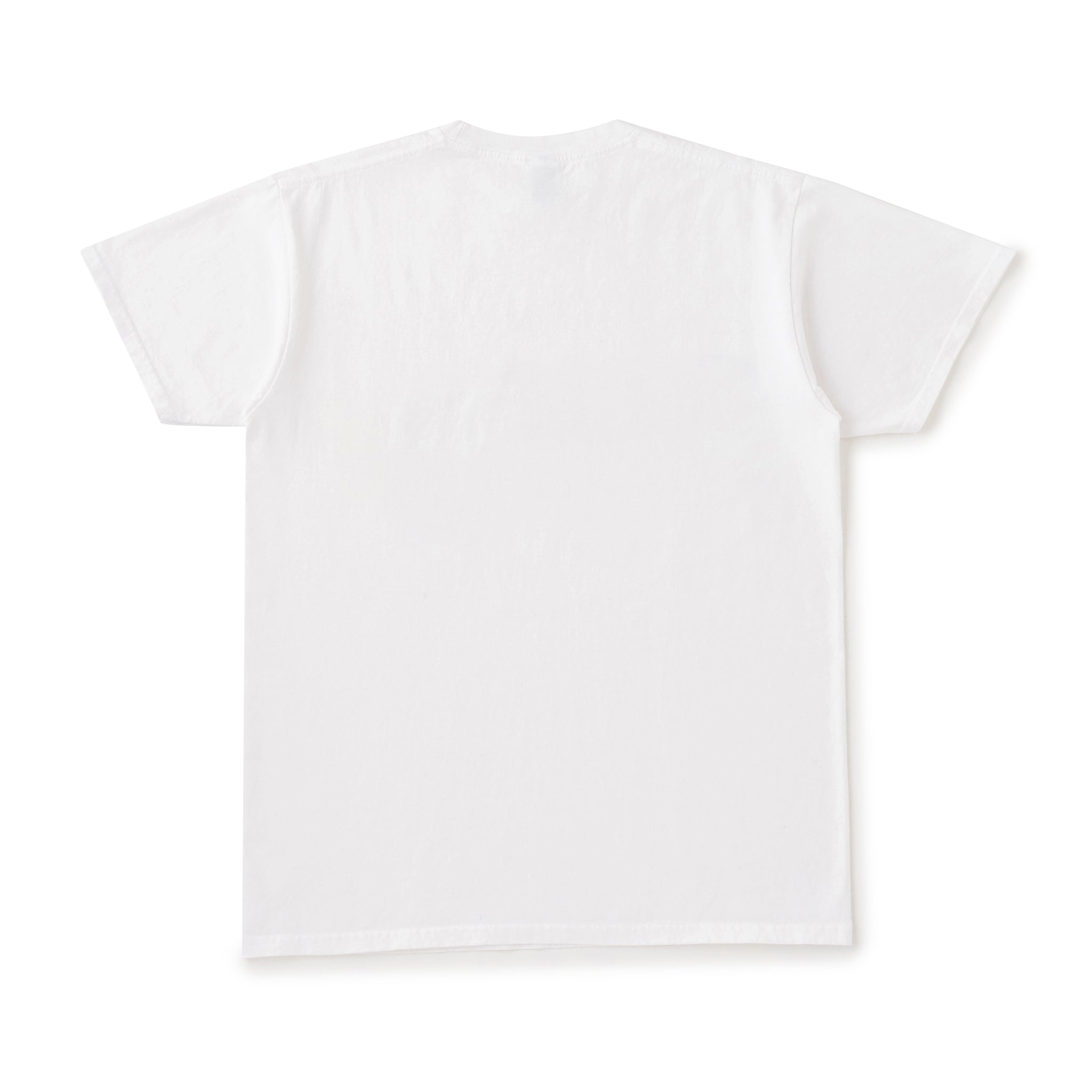 NOT APPLE TEE Orange - Fruit of the Loom Edition (ノットアップルティーオレンジフルーツオブザルームエディション)|byeA.(バイエー)OFFICIAL ONLINE STORE
