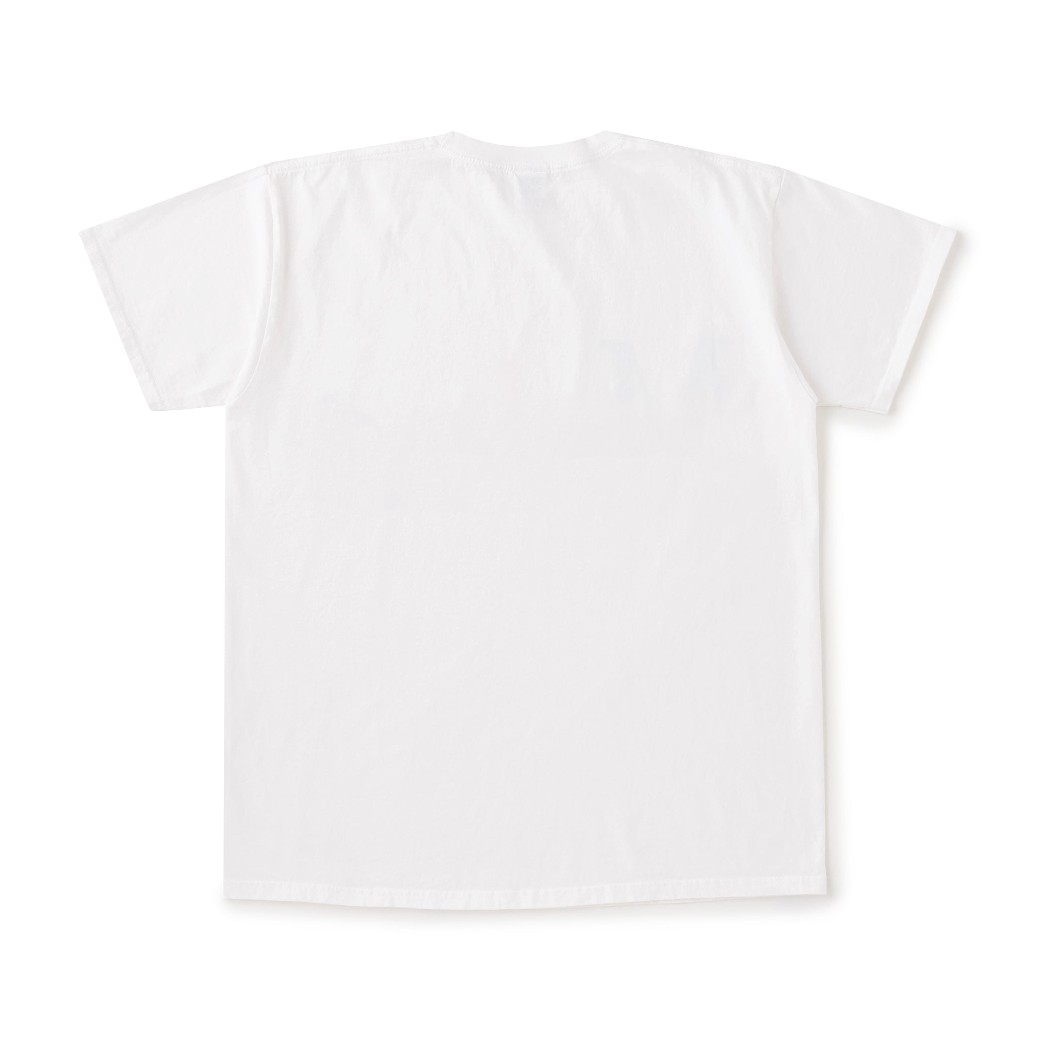 NOT APPLE TEE Melon WHITE - Fruit of the Loom Edition