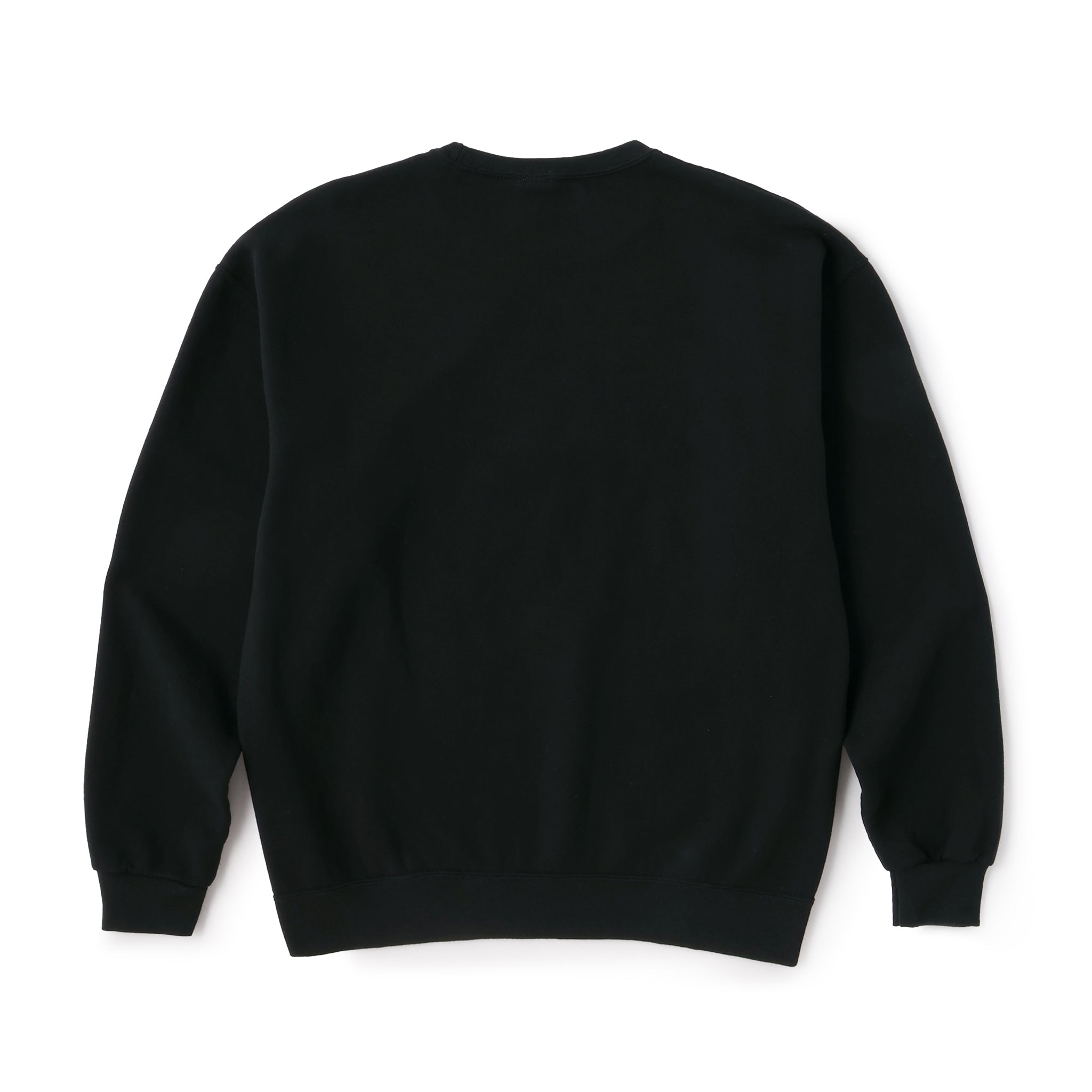 NOT APPLE SWEAT Grape BLACK - Fruit of the Loom Edition（ノット